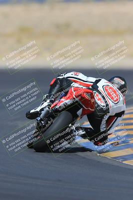 media/May-13-2023-SoCal Trackdays (Sat) [[8a473a8fd1]]/Turn 11 Backside (945am)/